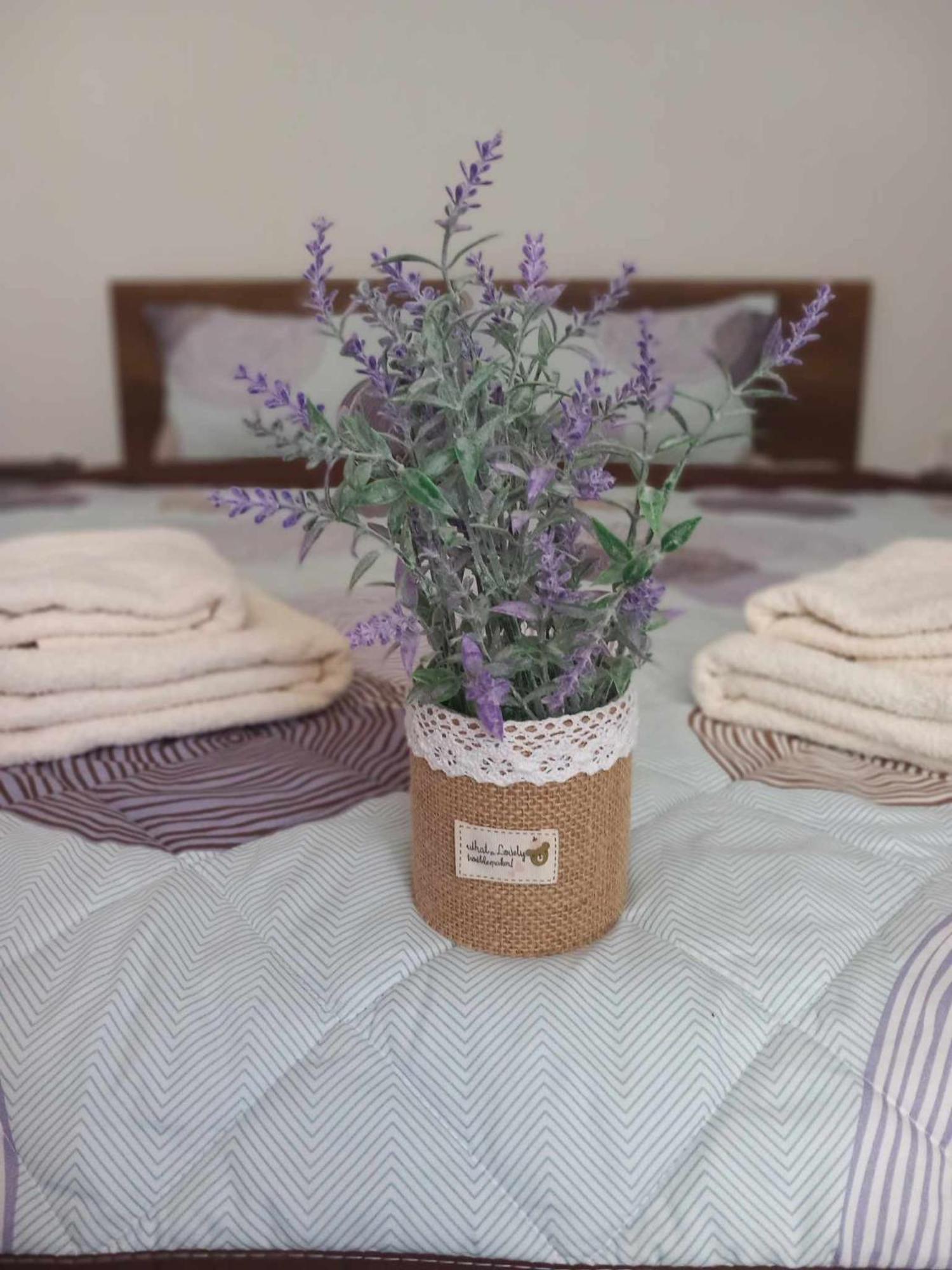 Gopo Guesthouse Elshani Экстерьер фото